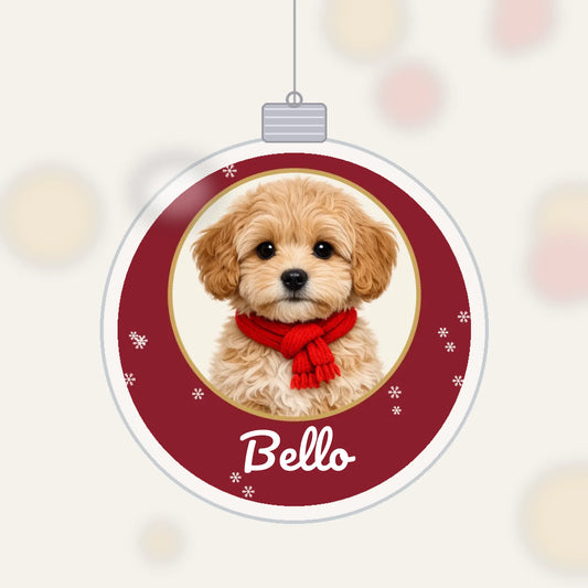 kugel_mockup_bg